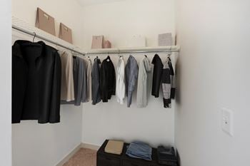A row of clothes hanging on a rack.
